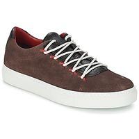 north star izar mens shoes trainers in brown