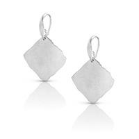 Nomination Ninfea - Silver Leaf Dropper Earrings 142846 043