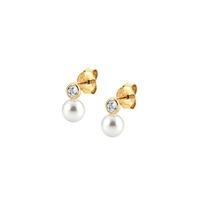 Nomination Bella Yellow Gold Pearl Drop Earrings 142662/012