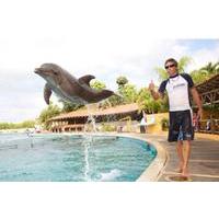 nuevo vallarta dolphin trainer for a day