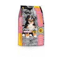 nutram s3 natural large breed puppy