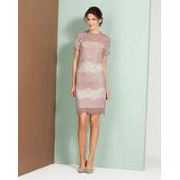 nudepink lace dress