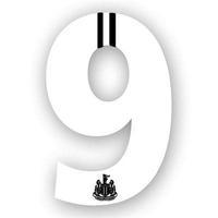 NUFC 2pk Weatherproof Stickers W9