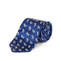 NWOT M&S Savile Row Inspired blue & white paisley print silk tie