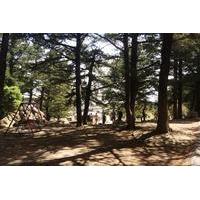 Nymphs Spring Hiking Small Group...