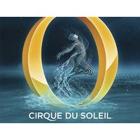 o cirque du soleil