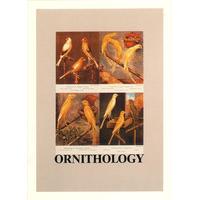 O is for Ornythology By Peter Blake