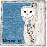 O is for Owl By Clare Halifax