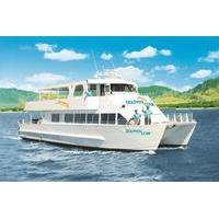 Oahu Wild Dolphin Watching Cruise & Snorkel with Lunch