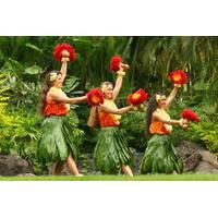 Oahu Shore Excursion: North Shore and Polynesian Cultural Center
