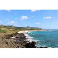 Oahu Private Island Tour: Waikiki - North Shore - Dole Plantation