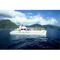 oahu catamaran cruise wildlife snorkeling and hawaiian buffet