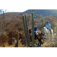 Oaxaca Discovery Overnight Horseback Riding Adventure