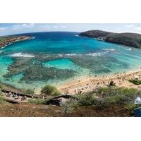 Oahu Shore Excursion: Hanauma Bay Snorkeling