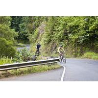 Oahu Downhill Biking Adventure with Optional Hike