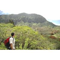 Oahu Bike, Hike, Sail and Snorkel Combo