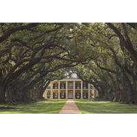 oak alley and laura plantation tour with transportation from new orlea ...