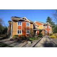 Oasis - Tremblant Sunstar