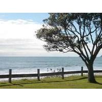 Oakura Beach Holiday Park