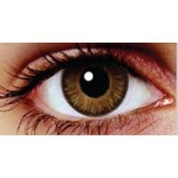 Oak Brown 3 Month Coloured Contact Lenses (MesmerEyez Blendz)