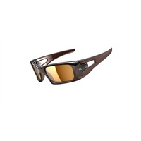 Oakley Polarized Crankcase
