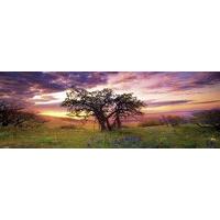 Oak Tree - Panoramic, 2000pc Jigsaw Puzzle