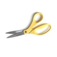 Oasis Floral Scissors