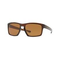 Oakley Sunglasses OO9262 SLIVER Polarized 926233