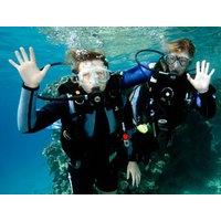 Ocean College PADI Open Water Dive Course - 4 Days