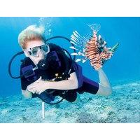 Ocean College - Scuba Diving In Sharm El Sheikh