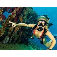 ocean college padi scuba dive course 2 days