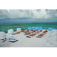 Ocean Spa Doctor Fish Cruise