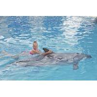 Ocho Rios Dolphin Swim