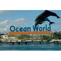 Ocean World Adventure Park Day Trip from Santo Domingo