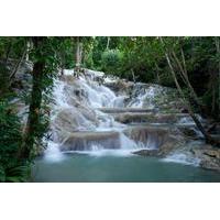 Ocho Rios Shore Excursion: Private Dunn\'s River Falls Tour