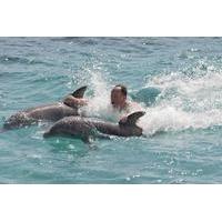 Ocho Rios Combo Tour: Dolphin Cove and Negril Sunset Cruise