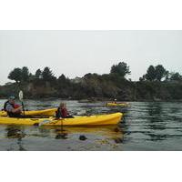 Ocean Kayaking Experience in Brookings