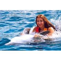Ocho Rios Dolphin Swim Adventure