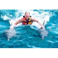 Ocho Rios Dolphin Royal Swim
