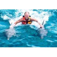 ocho rios dolphin royal swim