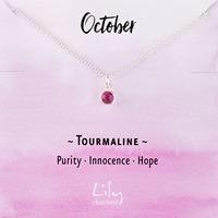 October Birthstone Necklace (Pink Tourmaline)