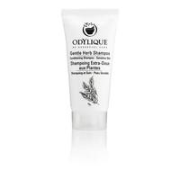 odylique by essential care gentle herb shampoo 20ml travel size