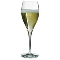 oenologue expert champagne flutes 9oz 260ml pack of 6