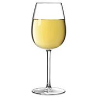 Oenologue Expert Wine Glasses 15.8oz / 450ml (Set of 3)