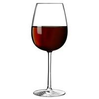 oenologue expert wine glasses 193oz 550ml case of 24