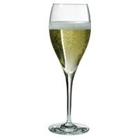 Oenologue Expert Champagne Flutes 9oz / 260ml (Case of 24)