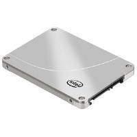 OEM: Intel 313 (20GB) Solid State Drive SATA 3G 25mn SLC 2.5 inch (Silver)