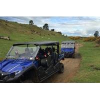 off road 4wd buggy adventure from rotorua