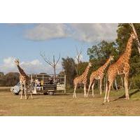 off road safari at werribee open range zoo