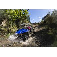 Off-Road U-Drive Challenger Buggy Tour from Queenstown